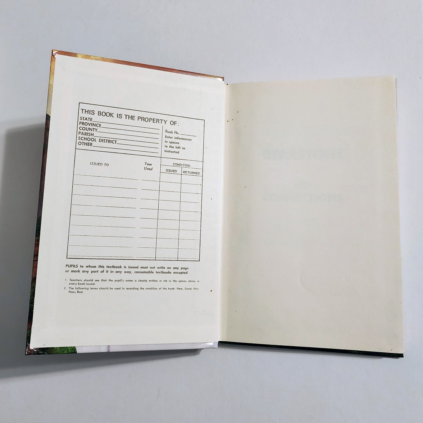 Bearstone by Will Hobbs: With Connections. HRW Library. Hardback.
