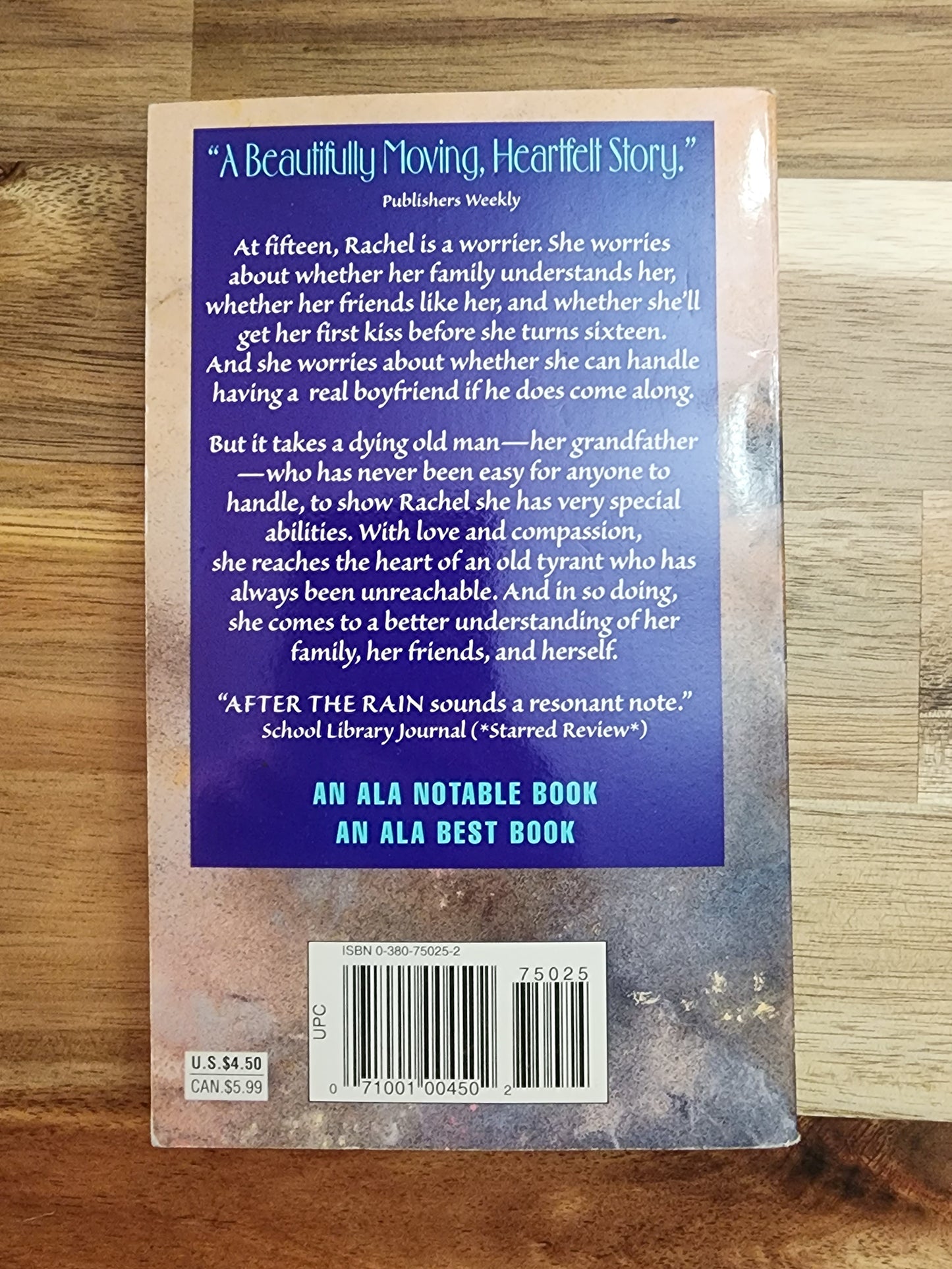 After the Rain by Norma Fox Mazer (1987, Trade Paperback, Reprint)