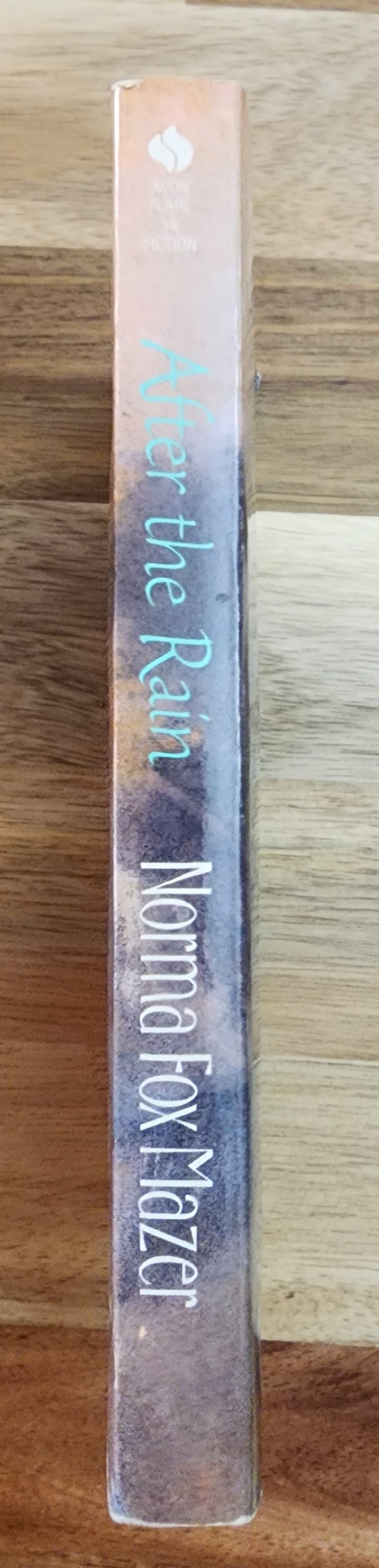 After the Rain by Norma Fox Mazer (1987, Trade Paperback, Reprint)