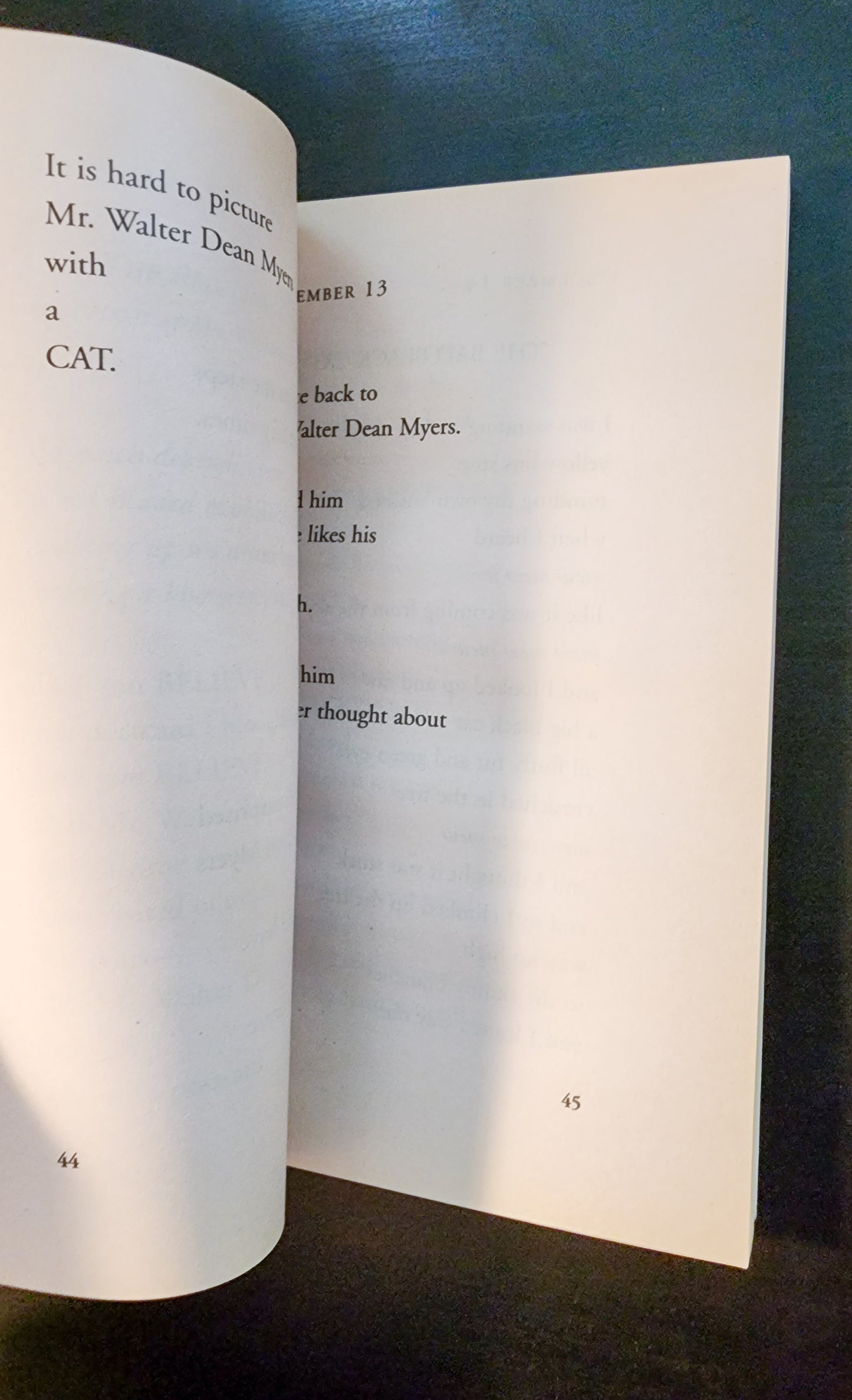Hate That Cat : A Novel by Sharon Creech (2010, Trade Paperback)